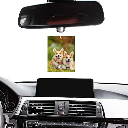 Custom air fresheners!